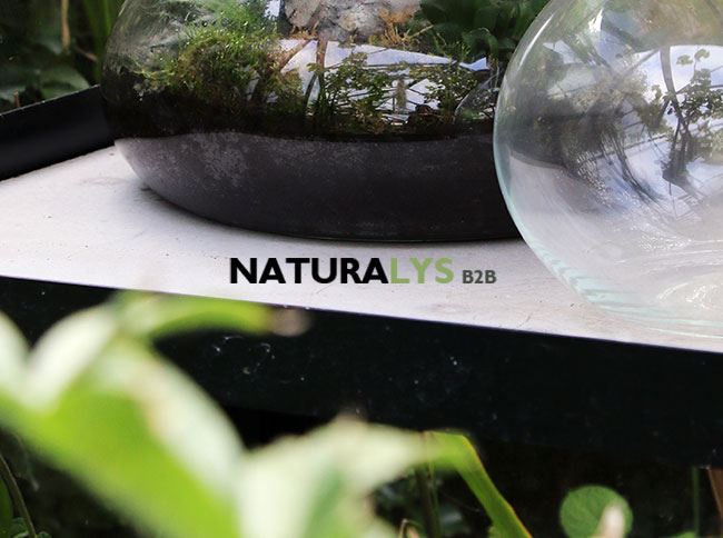 naturalys-logo-2020